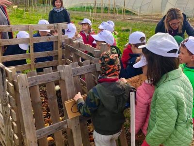 fattoria didattica_scuola 2