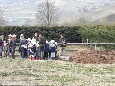 fattoria didattica_scuola